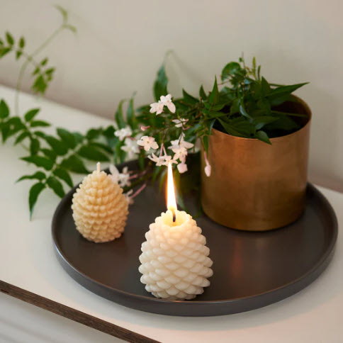 Queen B Large Pine Cone