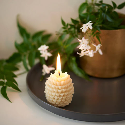 Queen B Small Pine Cones - Pack of 2