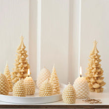 Load image into Gallery viewer, Queen B Small Pine Cones - Pack of 2