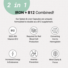 Load image into Gallery viewer, Cell Squared Organic Grass-Fed Beef Liver & Spleen 160ct