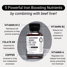 Load image into Gallery viewer, Cell Squared Organic Grass-Fed Beef Liver & Spleen 160ct