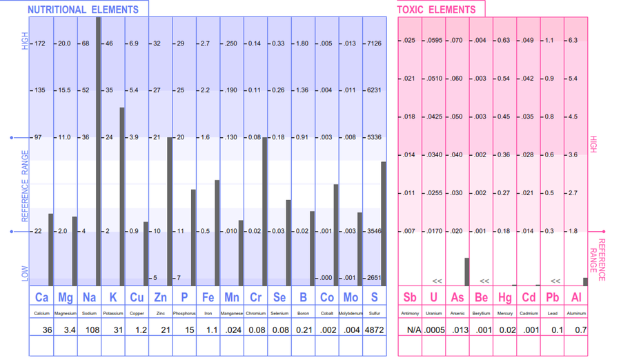 Adult HTMA (Hair Tissue Mineral Analysis) - Profile 2