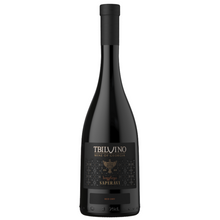 Load image into Gallery viewer, Tbilvino Saperavi