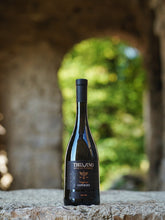 Load image into Gallery viewer, Tbilvino Saperavi