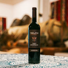 Load image into Gallery viewer, Tbilvino Khvanchkara